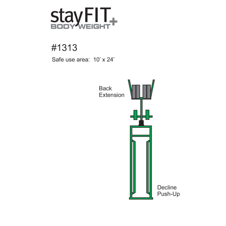 1313-Back-Extension-Decline-Push-Up