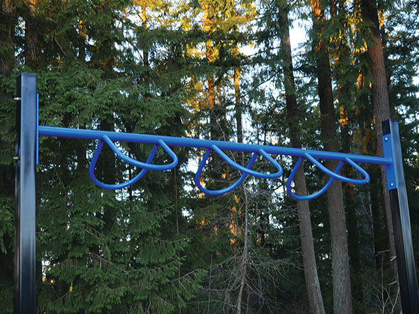 10' Angled Loop Ladder