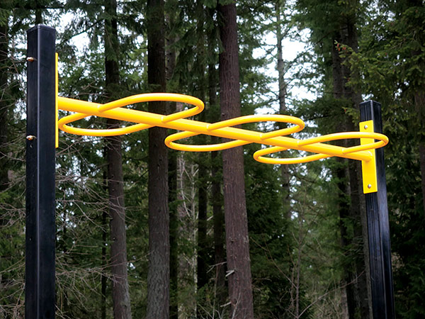 8' Loop Ladder